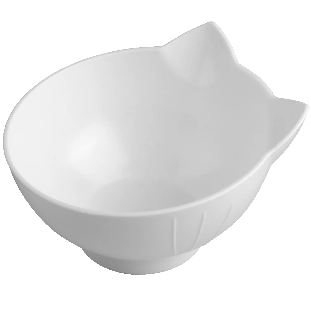 Pet Double Cat Bowl With Raised Stand