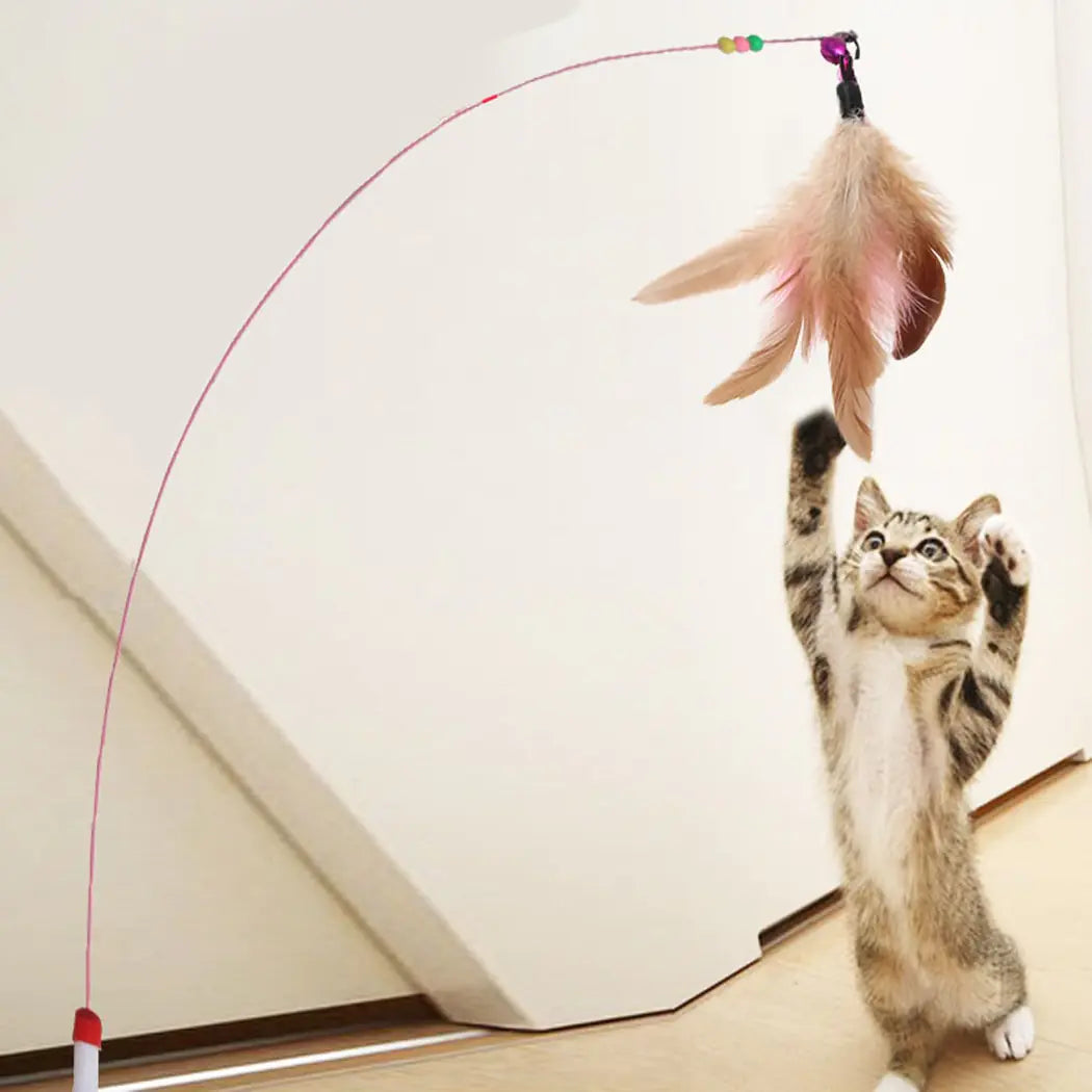 Feather Cat Toy