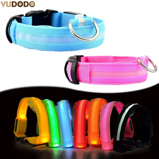 LED Pet Dog Collar for Night Safety, Glow-in-the-Dark Feature