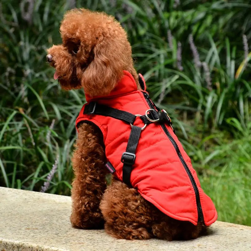 Waterproof Pet Coat With Harness