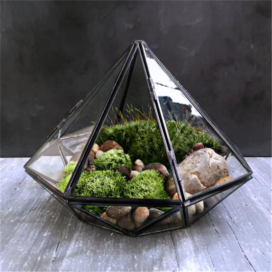 Glass Terrarium