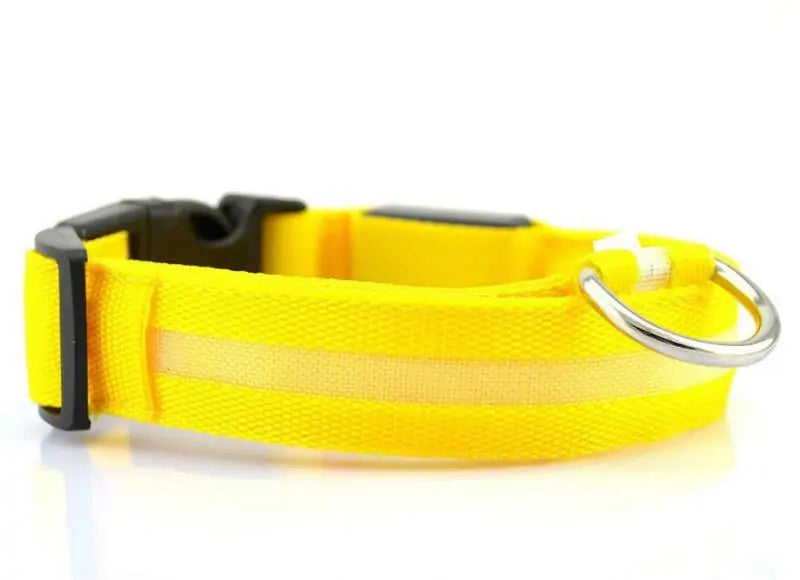 LED Pet Dog Collar for Night Safety, Glow-in-the-Dark Feature