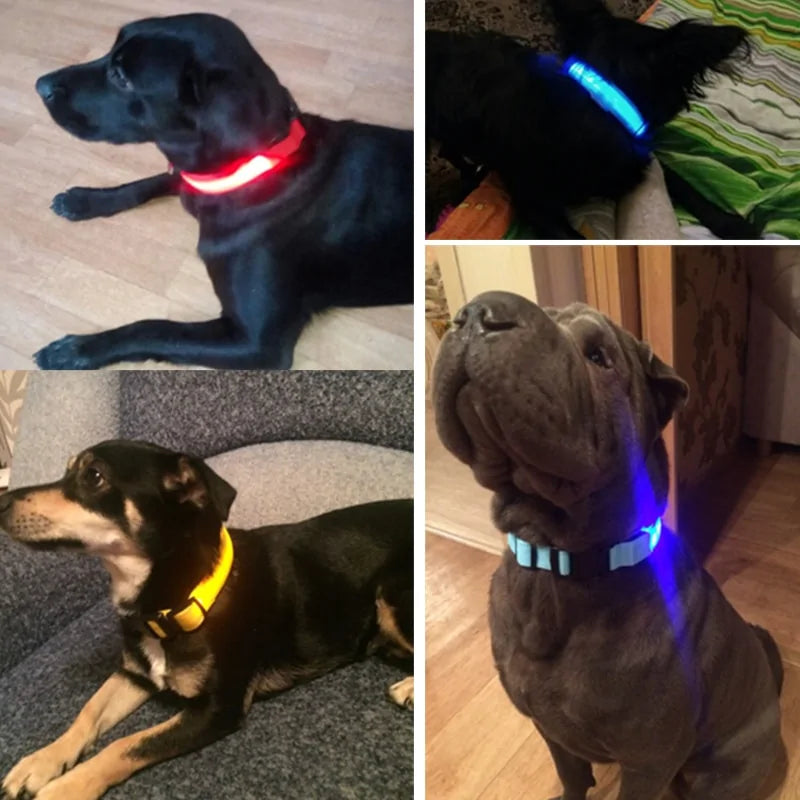 LED Pet Dog Collar for Night Safety, Glow-in-the-Dark Feature