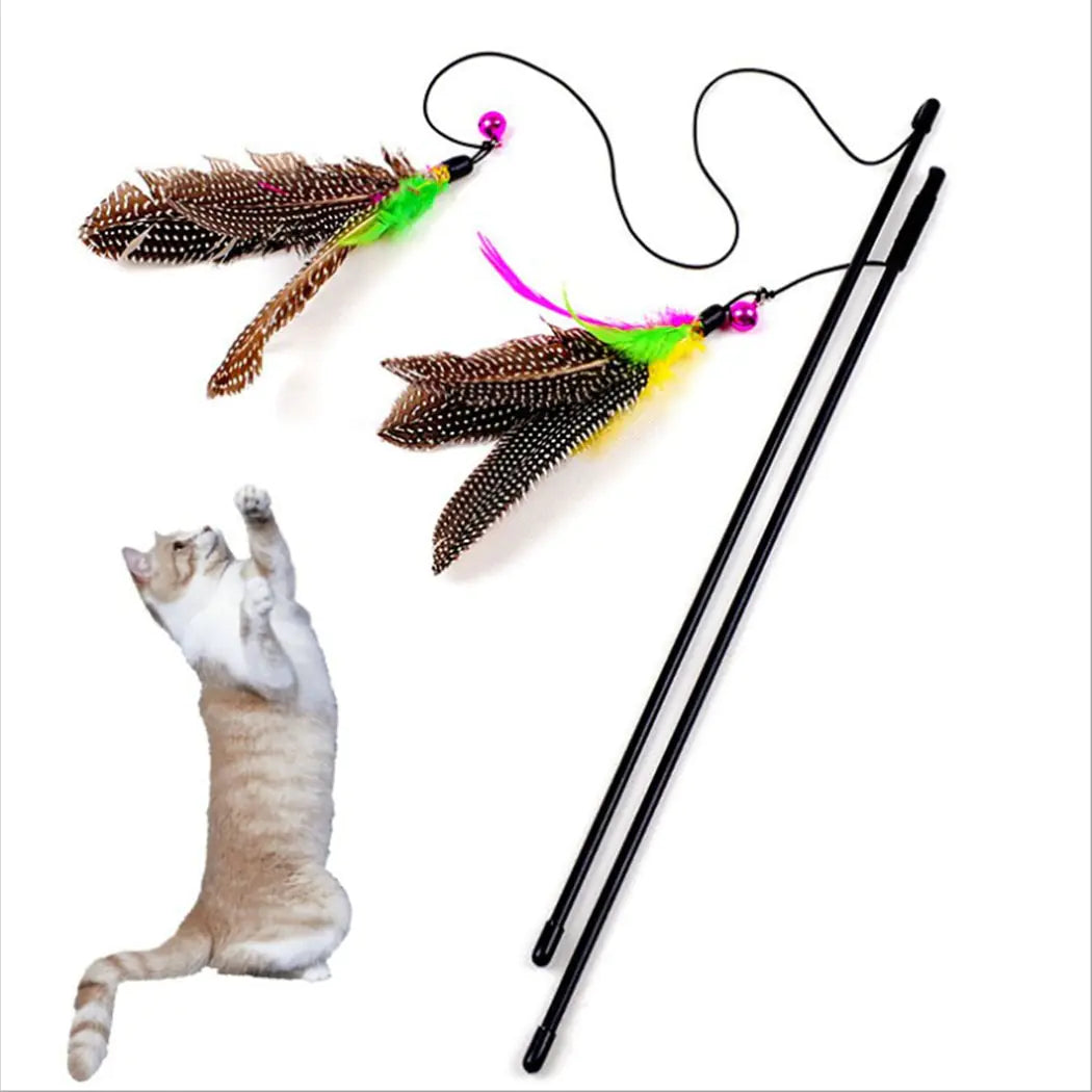 Feather Cat Toy