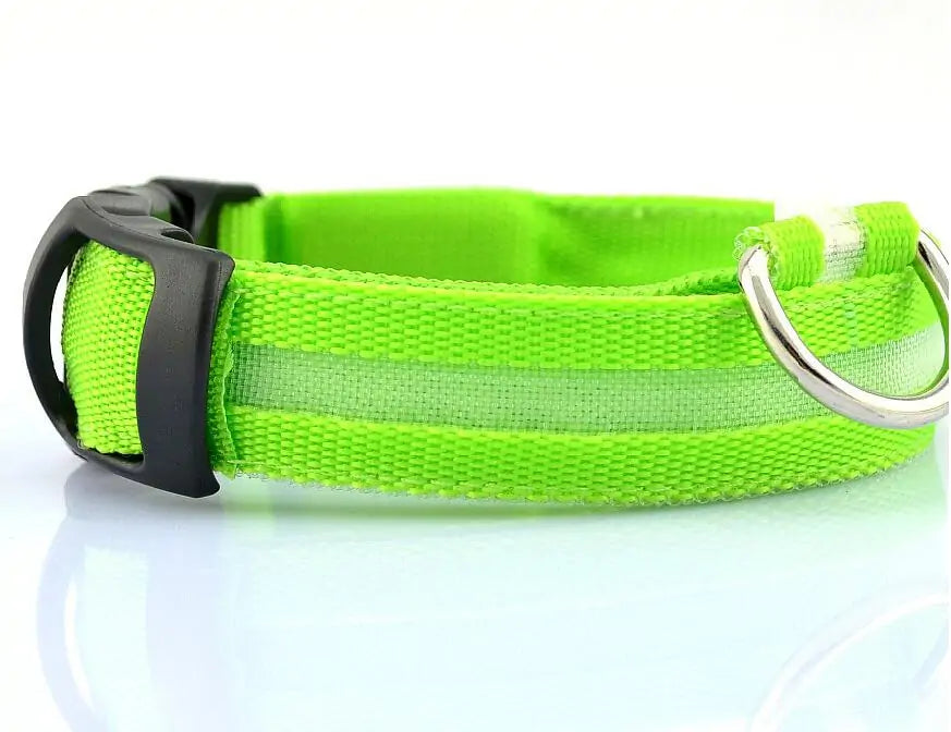 LED Pet Dog Collar for Night Safety, Glow-in-the-Dark Feature