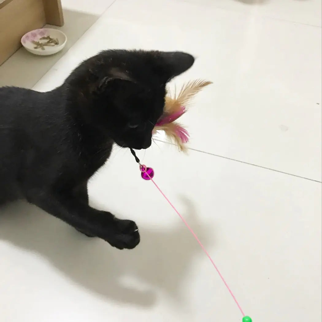 Feather Cat Toy