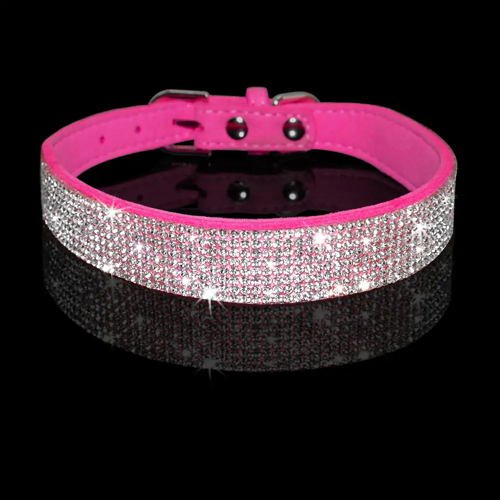 Pet Collar