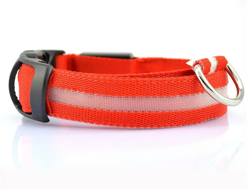 LED Pet Dog Collar for Night Safety, Glow-in-the-Dark Feature